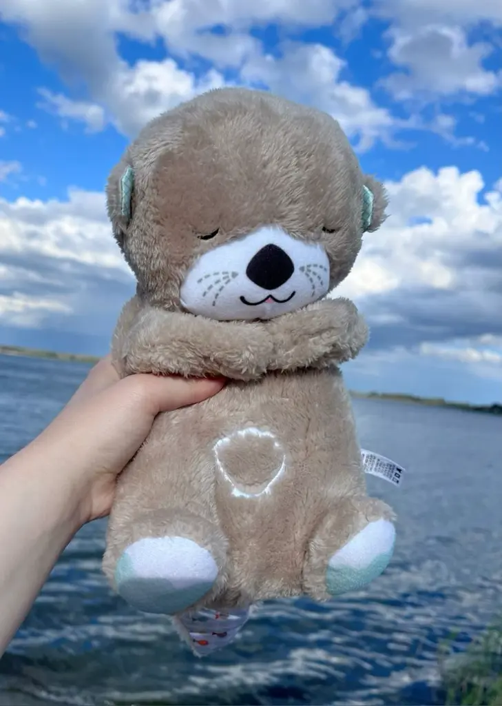 otter.webp