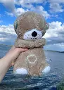 otter.webp