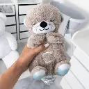 The Dreamy Otter.webp